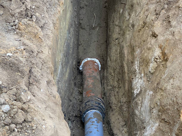Best Flood restoration services  in Royse City, TX