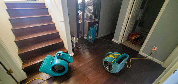 Best Water damage cleanup near me  in Royse City, TX