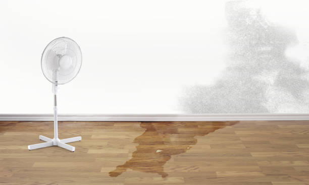 Trusted Royse City, TX Water damage restoration Experts